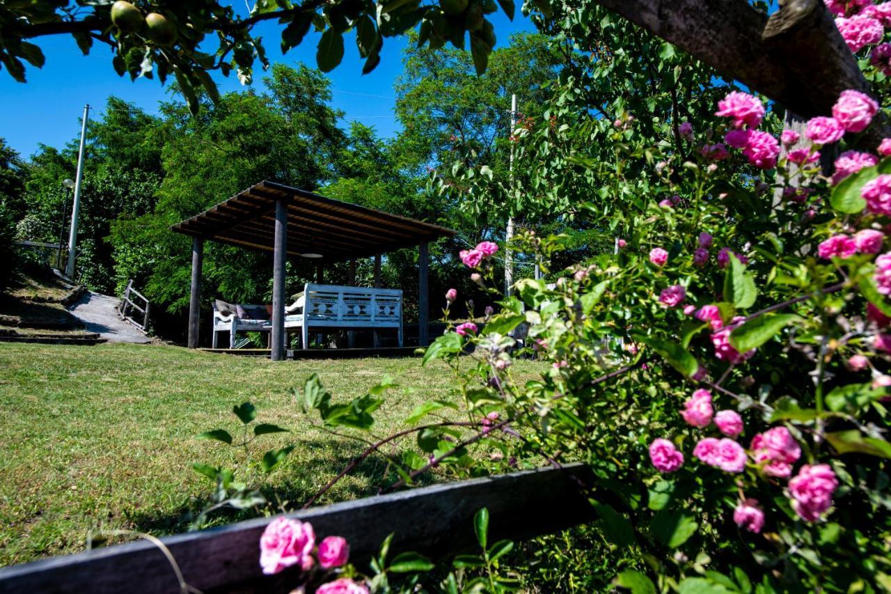 211 - Appartamento Acacia, Terrazza Giardino E Piscina Carro Zewnętrze zdjęcie