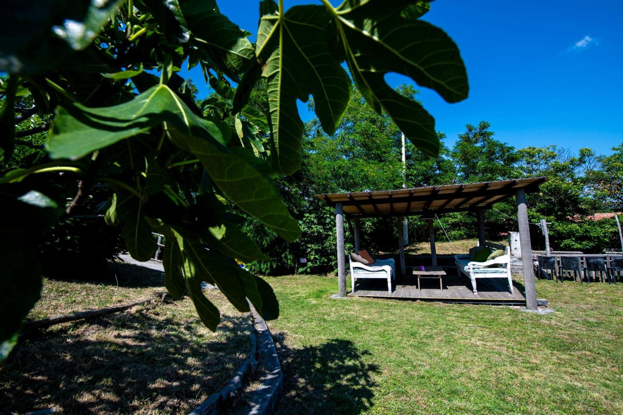 211 - Appartamento Acacia, Terrazza Giardino E Piscina Carro Zewnętrze zdjęcie